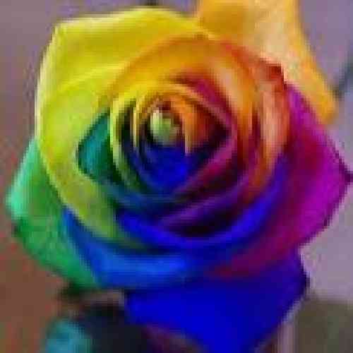  به هر بهونه میای به دیدار من میدونم دوست داری یه روز بشی یار من